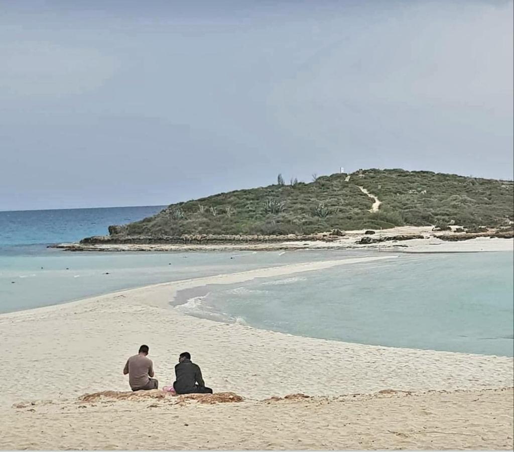 Panthoma Casa Lägenhet Ayia Napa Exteriör bild