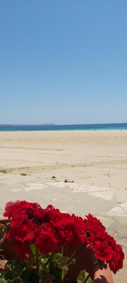 Panthoma Casa Lägenhet Ayia Napa Exteriör bild